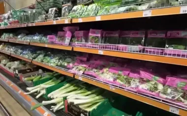 Свіжість до чотирьох тижнів: як правильно зберігати зелень в холодильнику