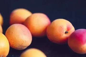 Лучший летний фрукт для плоского живота, здоровой кожи и идеального загара.