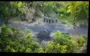 12 Russian soldiers surrendered after work of Ukrainian drone operator in Sumy region. VIDEO