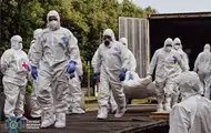 В МВС розповіли про долю 20 тіл російських солдат