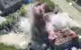 Occupier flying high above houses after attack by Ukrainian drone. VIDEO