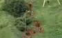 Destruction of assault group of eight occupiers near village of Kindrativka in Sumy region. VIDEO