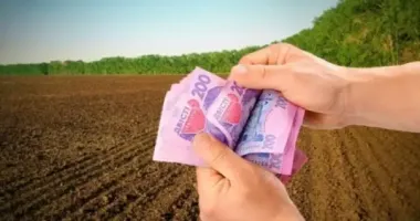 В Волынской области чиновник Госгеокадастра продал земли заповедного фонда