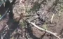 Motorcycles and light vehicles: enemy shifts assault tactics in Vovchansk direction – SBGS. VIDEO