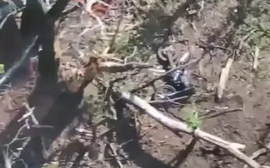 Motorcycles and light vehicles: enemy shifts assault tactics in Vovchansk direction – SBGS. VIDEO