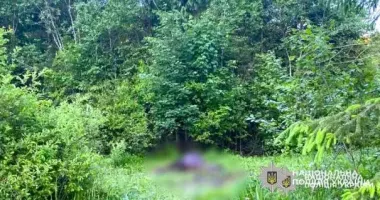 На Прикарпатті невідомий застрелив коня на пасовищі