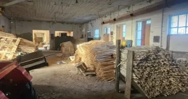 Во Львовской области женщина организовала контрабанду лесоматериалов в ЕС