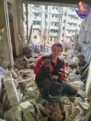 Настоящее чудо: в Киеве спасли кота, который пробыл под завалами 10 часов (фото)