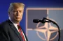 "Мне нужна помощь с вами": Трамп рассчитывает на сделку с Путиным