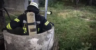 На Київщині врятували козеня, яке впало в колодязь