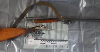 Житель Тернопольщины на глазах у прохожих застрелил бездомную собаку