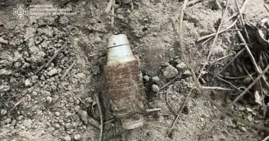 На Київщині дитина під час прогулянки знайшла гранату