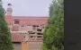Russian forces strike Zaporizhzhia: two people wounded, houses damaged. VIDEO