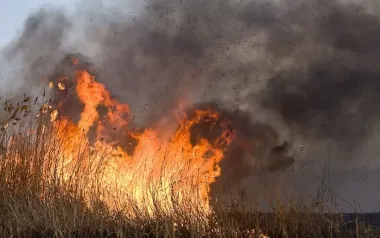 Russian occupiers in the Kherson region's TOT are sabotaging command orders — what is known
