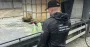 На Буковині правоохоронці припинили діяльність нелегальної АЗС
