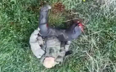 Occupier’s right leg was torn off by strike. VIDEO 18+