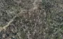 Все в оптоволокне: в ВСУ показали, как война изменила легендарный Серебрянский лес