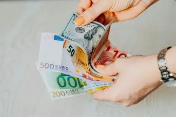 Евро или доллар: в какую валюту лучше инвестировать украинцам в 2025 году