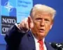 Change in Nato mindset brought on by Vladimir Putin as much as Donald Trump