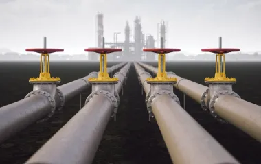 Викиди вуглекислого газу досягли максимуму в рекордно теплий рік на планеті