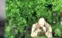 National Guard troops eliminated group of occupiers who wanted to break through to Ukrainian positions near Pokrovsk. VIDEO