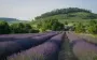 Гороскоп для всіх знаків зодіаку на 27 червня 2025 року