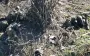 Dozens of bodies of eliminated occupiers lying on street of Ukrainian village and on remains of destroyed houses. VIDEO 18+