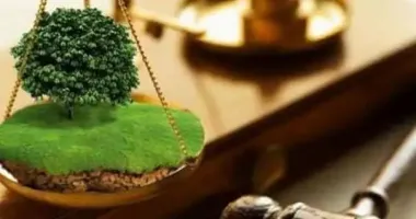 На Закарпатье будут судить экс-чиновника, незаконно передавшего в частную собственность заповедные земли