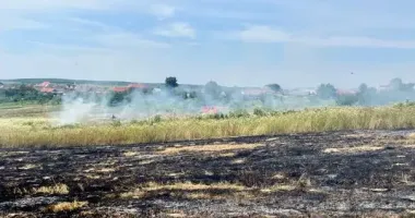 На Закарпатье женщина сгорела заживо во время сжигания сухостоя