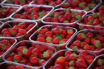 Зачем эксперты советуют брать с собой салфетку, когда идете покупать клубнику на рынок: хитрый трюк