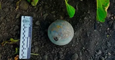 Біля села на Миколаївщині виявили суббоєприпаси до крилатої ракети