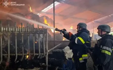 Russians drop aerial bomb on farm in Izium district, 2 injured – SES. PHOTOS