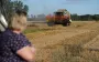 В Україні розпочали збір зерна: який очікується врожай та як він вплине на ціни