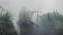 Almost 900 times in May. Russia uses chemical weapons against the AFU