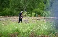 Страны Балтии уведомили ООН о выходе из конвенции по противопехотным минам