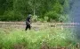 Страны Балтии уведомили ООН о выходе из конвенции по противопехотным минам