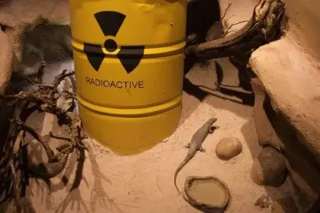 На дне Атлантического океана обнаружили более тысячи бочек с радиоактивными отходами