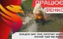 Border guards burned two cars and trucks belonging to occupiers and stopped tank and infantry fighting vehicle in Kharkiv region. VIDEO