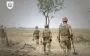 Coalition for demining in 2025 has already attracted 93 million euros for Ukraine - Ministry of Defense
