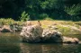 Яка мінімальна температура води річки, в які можна купатися — щоб не застудитися