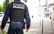 У Франції поліція другу добу шукає удава, що втік з тераріуму