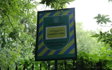 Все заросло кустарниками. В Киеве приходит в упадок уникальная историческая локация