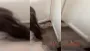 Пара решила убрать линолеум в доме и не могла поверить, что скрывалось под ним (видео)