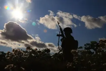 Переважно робітничі професії: військовий про те, кого найбільше в армії