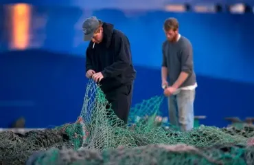 Риба в Балтійському морі еволюціонує заради виживання — дослідження