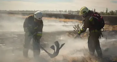 Масштабна пожежа на Миколаївщині: вигоріло 50 гектарів пшениці