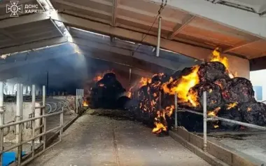 Russians attacked at least 22 settlements in Kharkiv region over past week: 5 killed, 28 injured. PHOTOS