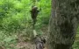 SOF destroyed Russian reconnaissance group near border: one Russian soldier was captured. VIDEO