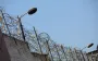 В ООН подтвердили: теракт в Еленовке был спланированным преступлением РФ
