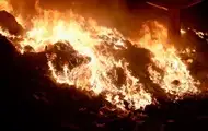 Россия нанесла четыре удара по Запорожью